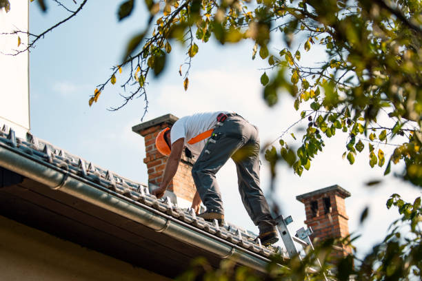 Roof Waterproofing Services in Lumber City, GA