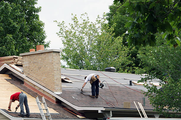 Best Shingle Roofing Installation  in Lumber City, GA