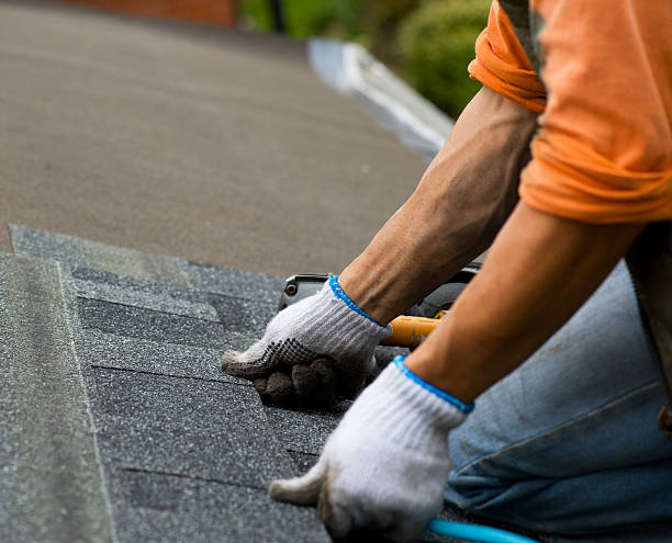 Best Gutter Installation and Roofing  in Lumber City, GA